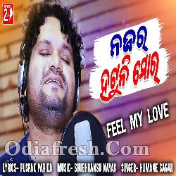 Najara Hatuni Mora - Best Odia Romantic Song By Human Sagar